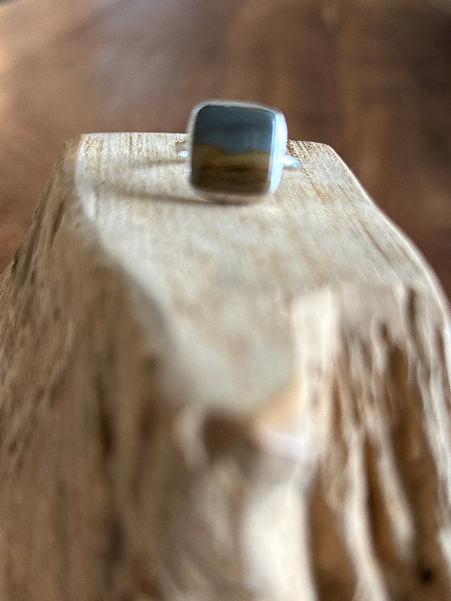 Picture Jasper silver ring