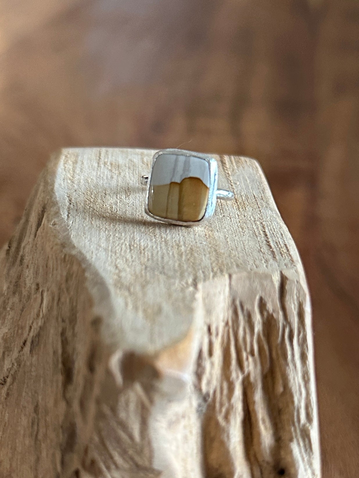 Owyhee Sunset Jasper