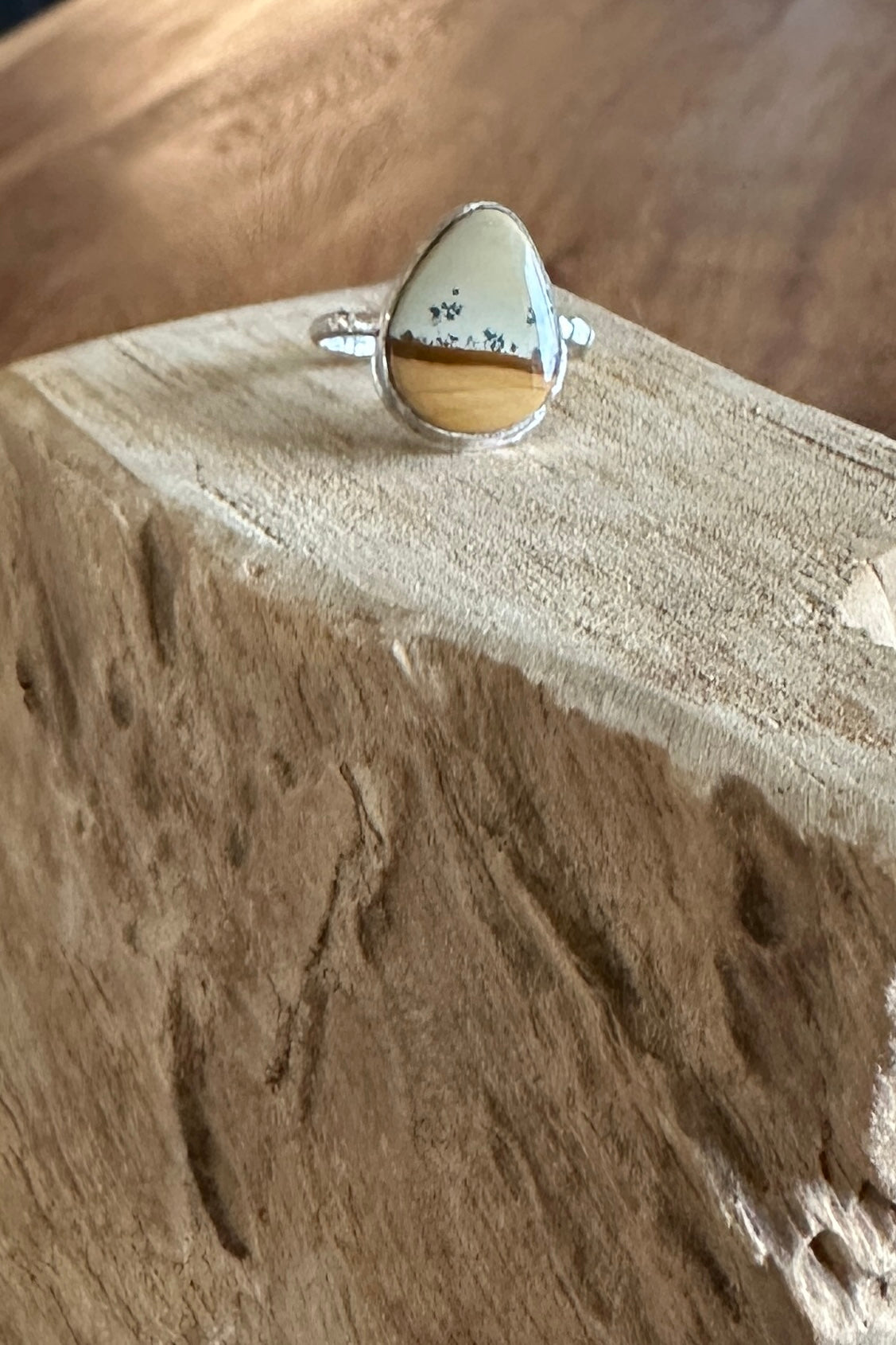 Owyhee picture jasper