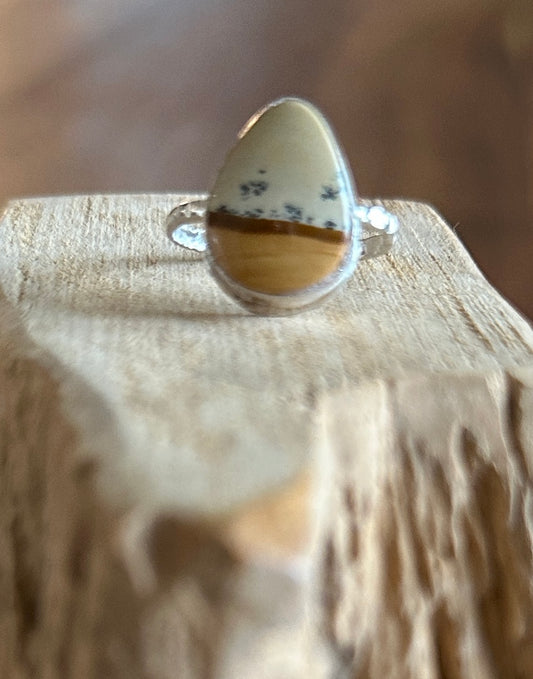 Owyhee picture jasper