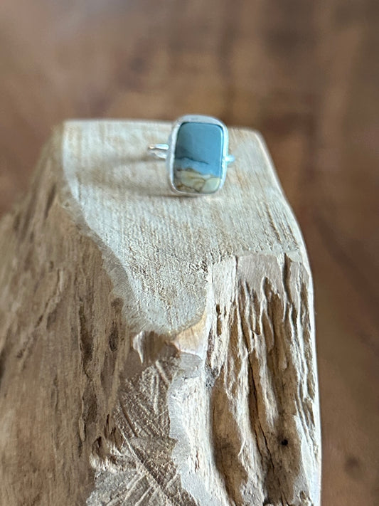 Blue Mountain “ocean” Agate