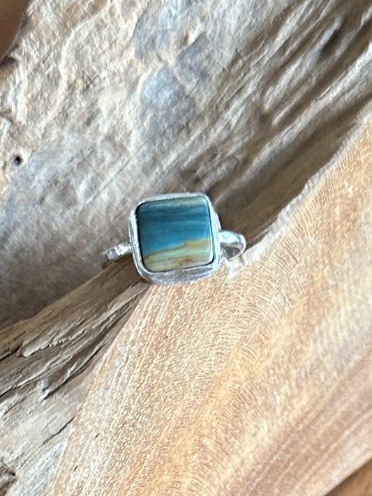 Blue Mountain “beach” Agate